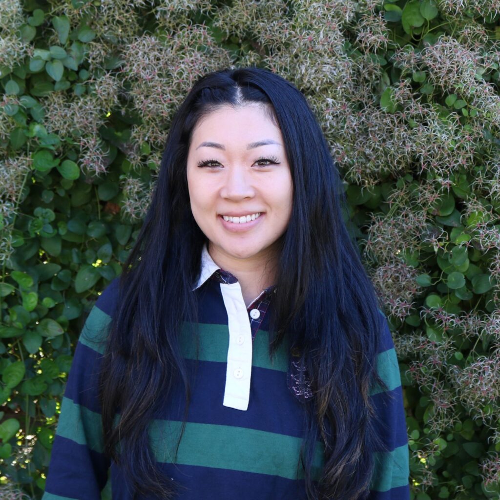 Anna lee visual arts mississauga
